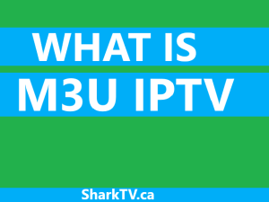 What is M3U IPTV Service? What is M3U IPTV Service?