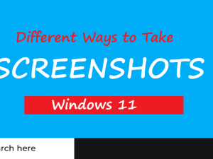 8 Different Ways to Take Screenshots on Windows 11 2025 8 Different Ways to Take Screenshots on Windows 11 2025