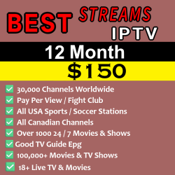 Best Streams IPTV -  12 Months Subscription