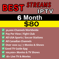 Best Streams IPTV – 6 Month Subscription (2–5 IPTV Connections under one username)
