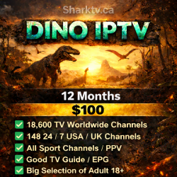 Dino IPTV - 12 Months Package