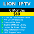 Lion IPTV 6 Months